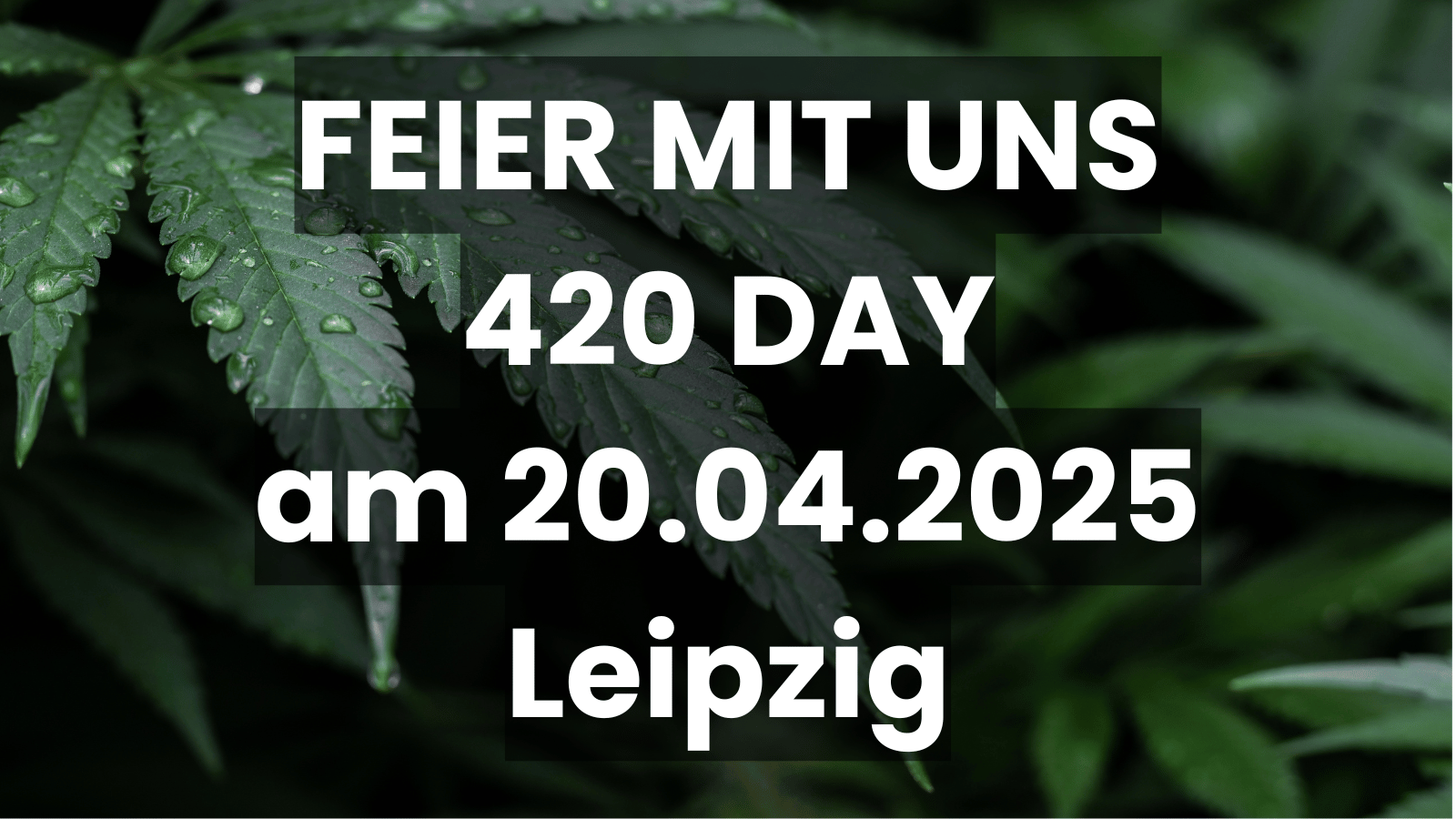 420 Day 20.04.2025 Event Verein